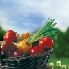 SaladPage